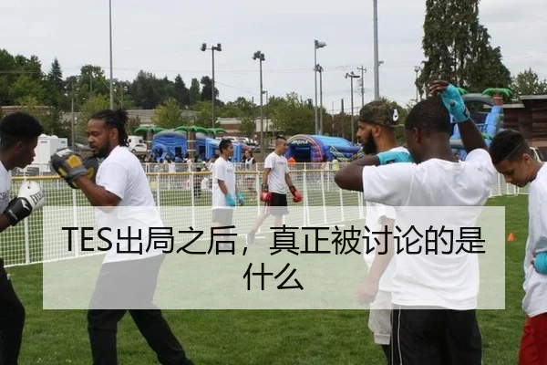 TES出局之后，真正被讨论的是什么